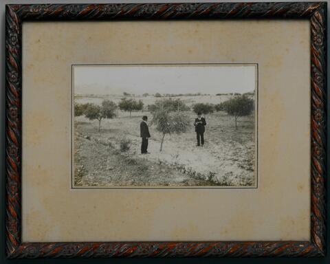 Original Objeto digital not accessible