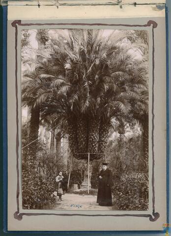 Original Objeto digital not accessible