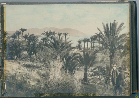 Original Objeto digital not accessible