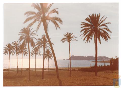 Original Objeto digital not accessible