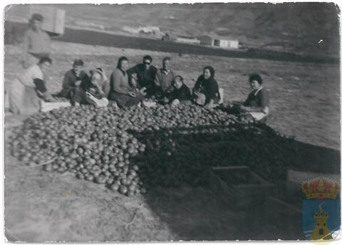 Original Objeto digital not accessible