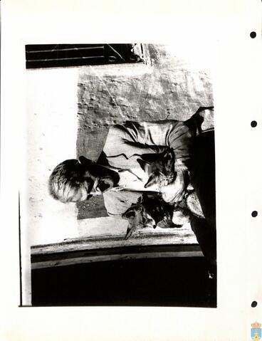 Original Objeto digital not accessible