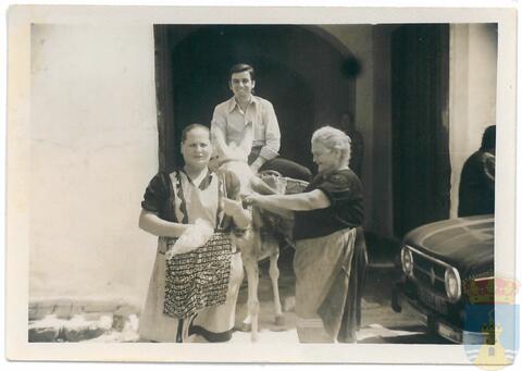 Original Objeto digital not accessible